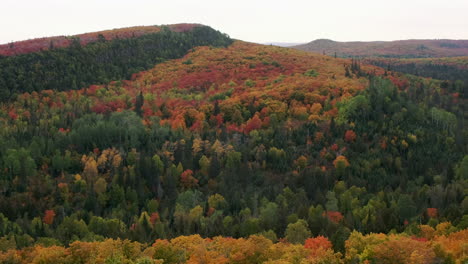 Pan-Of-Hill-in-Autumn-With-Beautiful-Fall-Colors