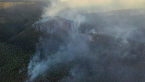 Smoke-rising-from-forest-landscape-during-bushfires,-tilt-up-aerial