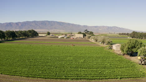 Flying-over-farmland-and-tilting-down-on-farmer-working-in-the-field-of-a-Salinas-Valley-Farm-in-CA