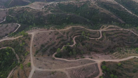 Orbit-Luftaufnahme-Eines-Trockenen,-öden-Geländes-Mit-Steineichen,-Die-Bei-Sonnenaufgang-In-Der-Algarve,-Portugal,-Von-Feldwegen-Zerrissen-Werden