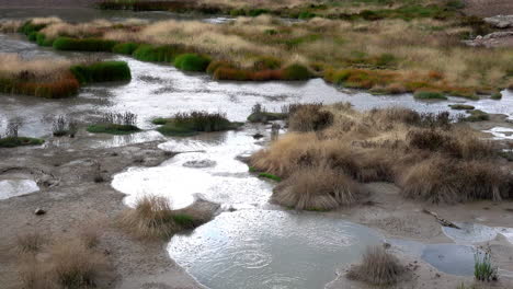 Pools-of-bubbling-hot-spring-water-interspersed-among-areas-of-prairie-grass