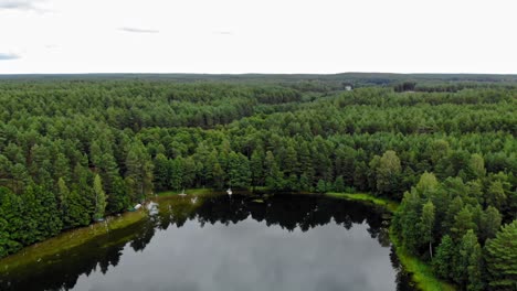 Malerische-Landschaft-Mit-üppigem-Wald-Und-Grünen-Bäumen-Vom-Ruhigen-See-In-Pradzonka,-Gmina-Studzienice,-Polen