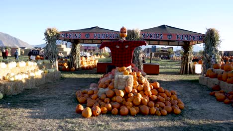 Pumpkin-sale-at-outdoor-October-festival-outdoor-event,-United-States