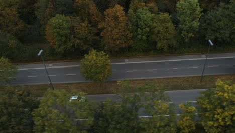 White-car-drives-along-autumn-color-tree-lined-avenue-in-late-afternoon,-drone