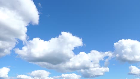Nubes-Esponjosas-Y-Cielos-Azules-Hasta-El-Lago-Ontario,-El-Muelle-Y-Los-árboles---Estableciendo-Una-Inclinación-Hacia-Abajo