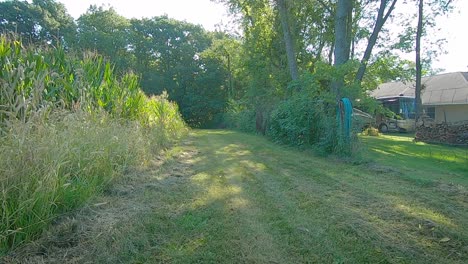 Slow-motion,-POV-driving-on-a-grass-path-along-a-corn-field,-yard-and-timber-stand