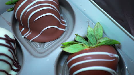 Homemade-chocolate-covered-strawberries-chilling-in-a-candy-pan