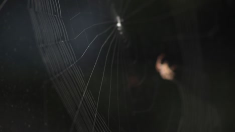 Blurry-Image-Of-A-Spider-Building-An-Orb-Web-In-A-Black-Background