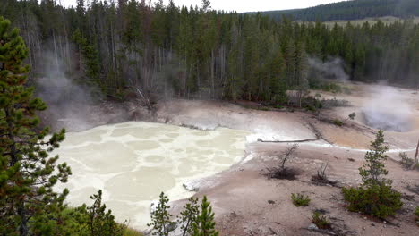 Long-shot-of-geothermal-hot-springs-in-the-Mud-Volcano-Area-of-Yellowstone-National-Park