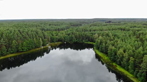 Bosque-Verde-Junto-Al-Lago-Tranquilo-En-Pradzonka,-Polonia