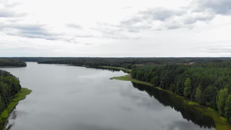 Flyover-Vast-Green-Forest-At-The-Edge-Of-A-Lake-In-Pradzonka-Poland---Aerial-shot