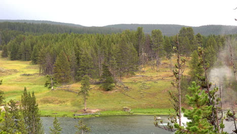 Tree-filled-landscape-in-Yellowstone-National-Park-with-river-and-steam-from-geothermal-feature