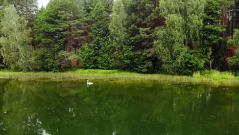 Lago-Tranquilo-Y-Tranquilo-Que-Refleja-Un-Bosque-Fresco-Y-Hermoso-En-Pradzonka-Polonia---Toma-Panorámica