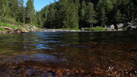 Klares-Flusswasser-Kräuselt-Sich-über-Rote-Felsen-Mit-Alpinem-Waldhintergrund