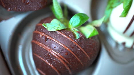 Pan-of-freshly-made-strawberries-dipped-in-chocolate---macro-view-showing-moist-droplets-and-fine-detail