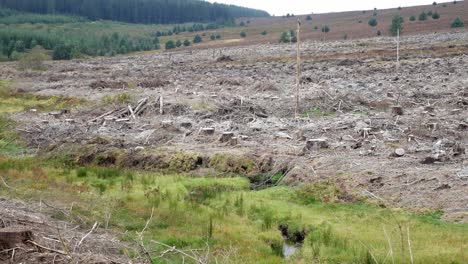 deforestation-woodland-wilderness-destroyed-logging-timber-industry-left-slow-dolly
