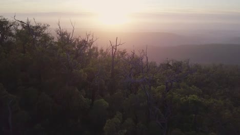Luftaufnahme-Eines-Hügels-Bei-Sonnenaufgang-Mit-Morgennebel-Mit-Kamera-Vorbei-An-Bergrücken-Voller-Bäume