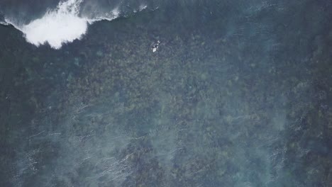 Top-down-aerial-view-of-a-surfer-catching-wave-in-Australia