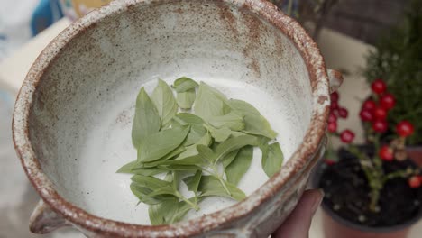 Putting-basil-leaves-into-a-bowl-for-pizza-topping
