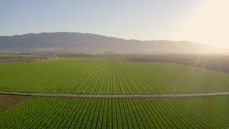 Aerial-shot-of-farm-in-Salinas-Valley,-CA