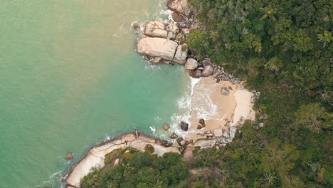 Aerial-top-down-view-of-brazilian-secret-paradise-beach-with-turquoise-color-water-located-in-Bombinhas,-Santa-Catarina,-Brazil