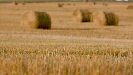 Bales-of-Hay-in-plains-of-North-Dakota