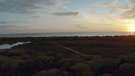 Aerial-drone-flight-along-a-pine-tree-forest-and-a-water-lagoon-by-a-beach-in-the-iconic-Maremma-National-Park-in-Tuscany,-Italy,-with-a-red-cloud-sky-at-sunset