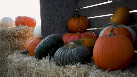 Halloween-Pumpkins-Lies-On-The-Haystack