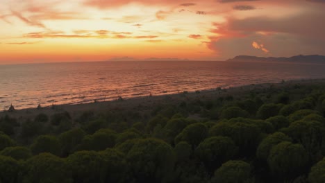 Beautiful-aerial-anamorphic-cinema-drone-footage-of-the-green-pine-tree-forest-and-the-beach-at-iconic-Maremma-nature-park-close-to-in-Tuscany,-Italy-with-dramatic-clouds-covering-the-sky-at-sunset