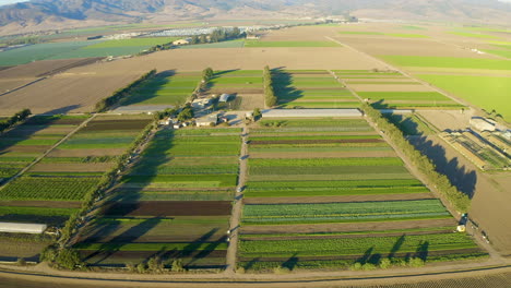 Aerial-shot-moving-forward-and-tilting-down-on-farmland-in-Salinas-Valley,-CA