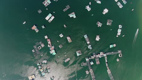 Große-Fischzuchtplattformen-Im-Offenen-Wasser-In-Hongkong,-Luftbild