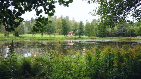 Blick-Auf-Einen-Wunderschönen-Teich,-Umgeben-Von-üppigem-Grün-An-Einem-Abgelegenen-Und-Isolierten-Ort