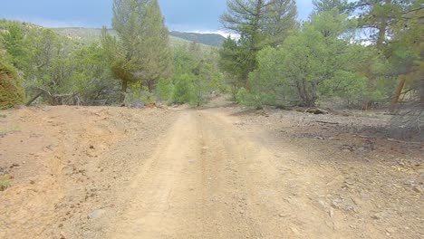 POV-driving-down-a-narrow-unpaved-trail-in-the-Rocky-Mountains-of-Colorado