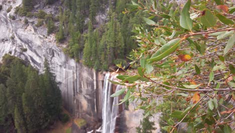 Slow-panning-shot-through-foliage-and-then-racking-to-a-wide-shot-high-above-Vernal-Falls