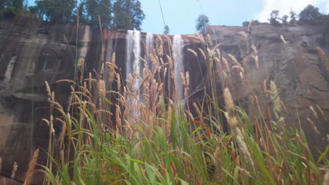 Static-shot-of-Vernal-Falls-with-wild-grass-stalks-flowing-in-the-foreground