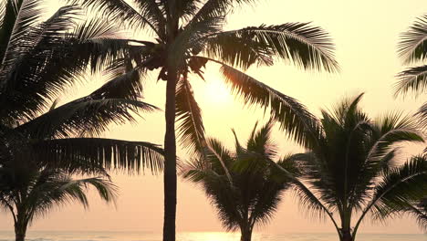Sommerzeit:-Schöner-Blick-Auf-Den-Sonnenuntergang-Auf-Der-Silhouette-Der-Kokospalmen