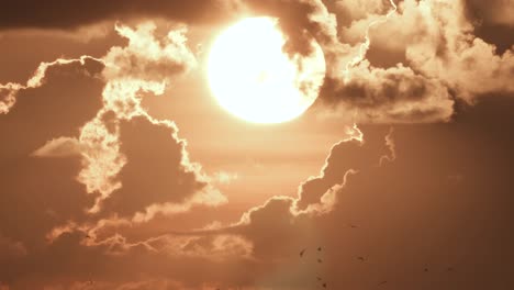Sonne-Und-Wolken-Mit-Vogelsilhouetten,-Die-In-Der-Ferne-Fliegen