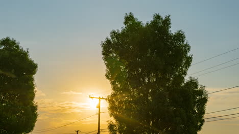 Strahlend-Goldener-Sonnenaufgang-Zwischen-Zwei-Bäumen-Und-über-Den-Stromleitungen---Zeitraffer