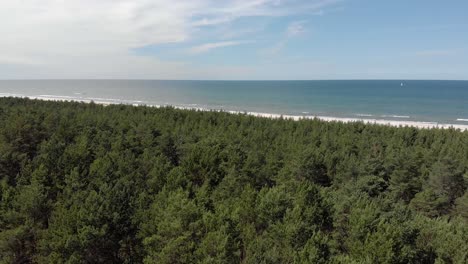 Scenic-aerial-view-of-Baltic-sea-and-forest,pedestal-shot