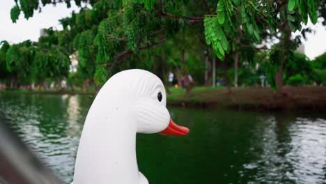Head-of-the-Swan-boat