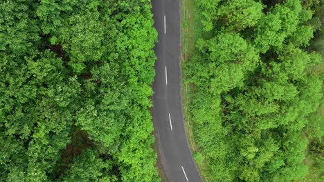 Flying-over-a-winding-road-in-the-middle-of-the-forest-with-trees-on-both-sides