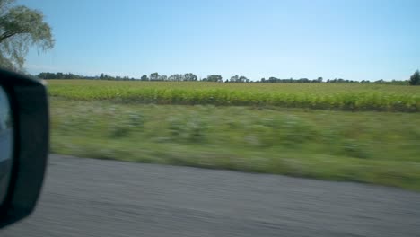 Shot-from-a-moving-car-at-Prince-Edward-County-showing-the-landscape-and-the-side-mirror-view