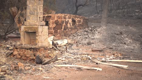 Casa-Perdida-Por-Un-Incendio-Forestal-Destructivo