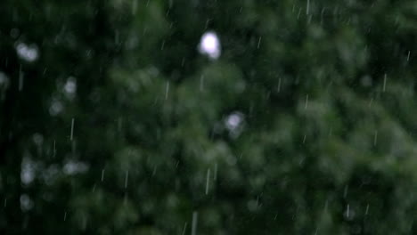 Ein-Sintflutartiger-Regensturm,-Der-Mit-250-Bildern-Pro-Sekunde-Und-Einer-Geringen-Schärfentiefe-Vor-Grünem-Baumlaub-Fällt,-Zeigt-Mikroregentropfen,-Die-Zwischen-Größeren-Regentropfen-Aufprallen