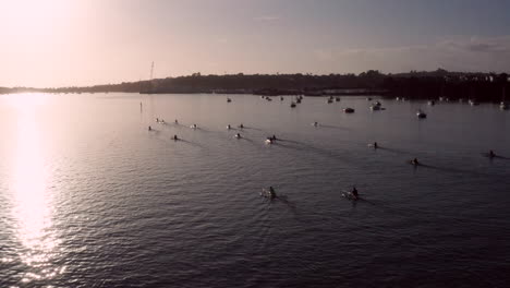 Kayakers-And-Sailboats-On-The-Calm-River-On-An-Early-Morning-In-New-Zealand---aerial-drone