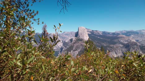 Static-shot-of-Half-Dome-and-Yosemite-Valley-from-Glacier-Point-with-foliage-in-the-foreground