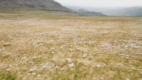 Birdseye-dolly-in-shot-of-a-meadow-and-hills-during-foggy-day-in-Westfjords