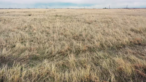 Aerial-Drone-Footage-of-Brown-Grass-Field-on-Cloudy-Day,-Flying-Close-To-The-Ground-in-Searching-Motion