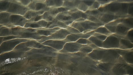 Top-view-of-female-legs-walking-in-clear-water-with-sand-at-the-bottom