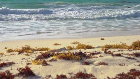 Tropical-sea-waves-crashing-onto-the-white-sandy-shore-next-to-seaweed,-while-golden-sun-rays-shine-through-the-luminous-turquoise-sea-in-Cancun,-Mexico---Close-up,-very-low-angle-zooming-in-closer